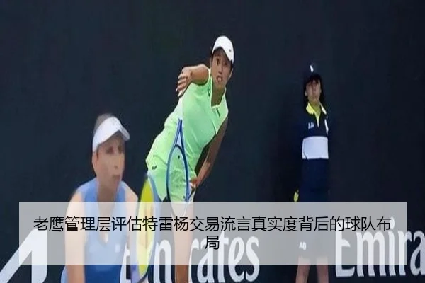 老鹰管理层评估特雷杨交易流言真实度背后的球队布局